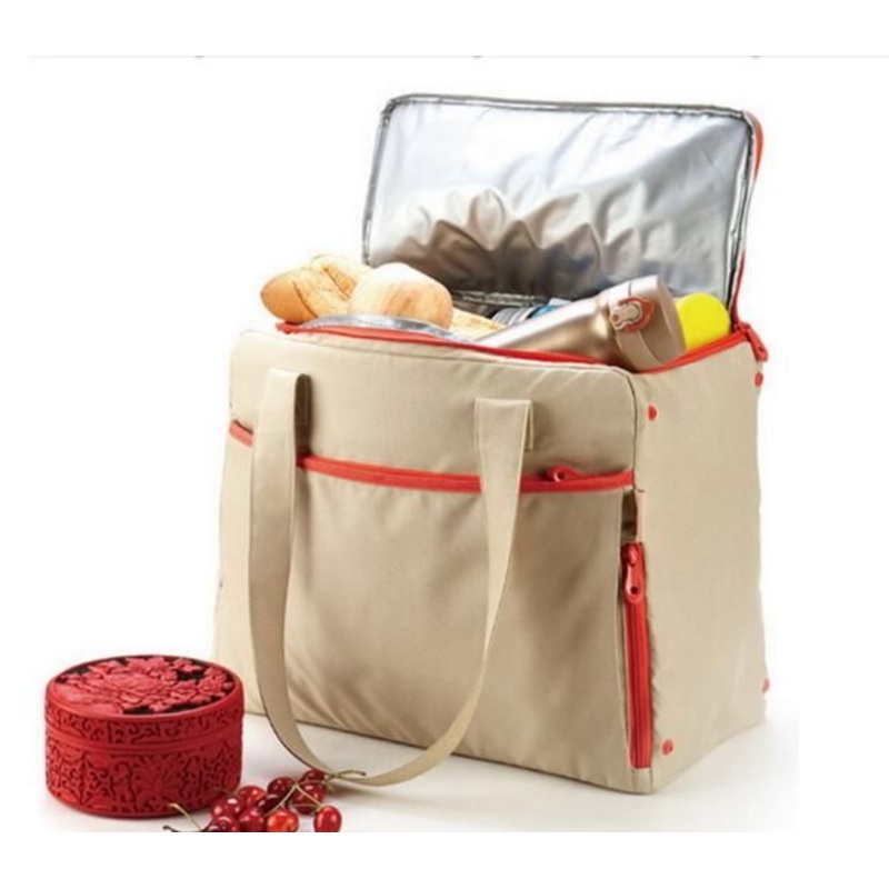 Portable Insulated Wine Cooler Bag for Picnic Sh-16050336 – Bag and Gym Bags price