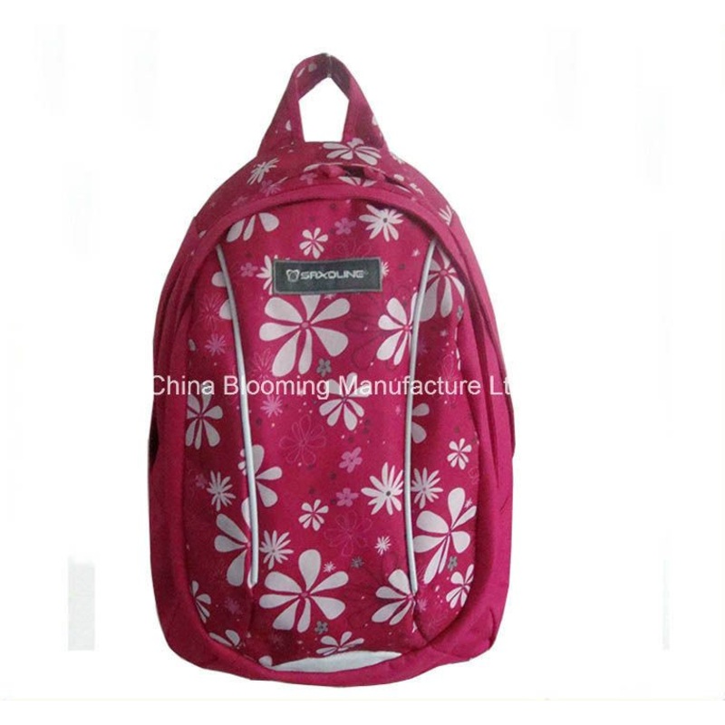 Distributor Leisure Travel School Daypack Student Backpack Bag – Backpack and Backpack Bag price