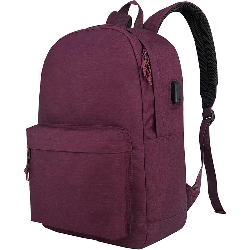 Unisex Casual Laptop Backpack, College & School Bag for Youths, USB Port, Lightweight Day Pack – School Backpack and Travel Backpack price