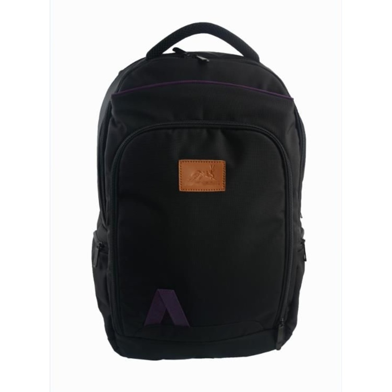 Competitive Price Laptop Backpack Bags Hiking Bags (SB6422) – Backpack and Laptop Bag price