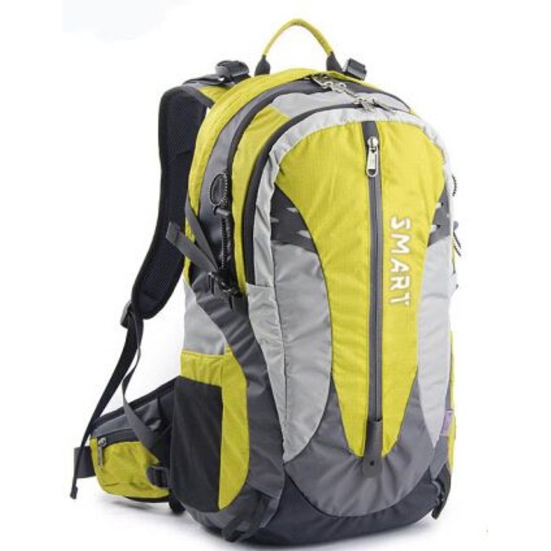 2014 New Designed Fashion Laptop Bag Backpack (SB6782C) – Sport Bag and Laptop Bag price