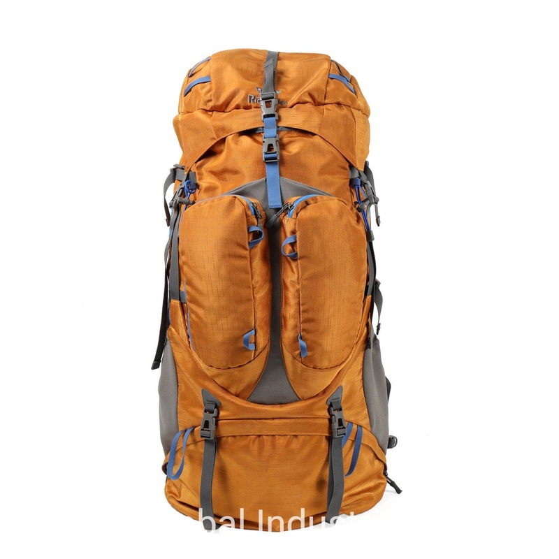 65L Large Outdoor Mountaineering Hiking Sports Backpack Bag with Steel Adjustable Back – Backpack and Sports Bag price