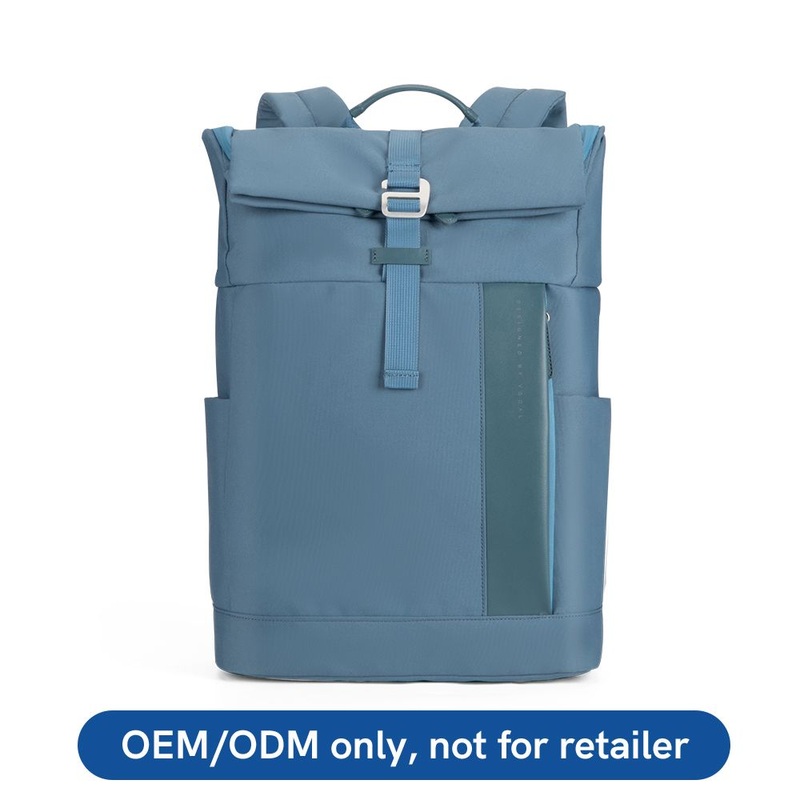 Custom Logo RPET Daily School Bags Laptop Backpack Bags – Shoulder Bag and Custom Bag price