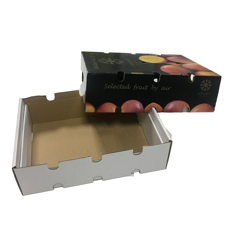Strength Recycled Mangoes Packaging Box with High Quality – Fruit Box and Fruit Packaging Box price