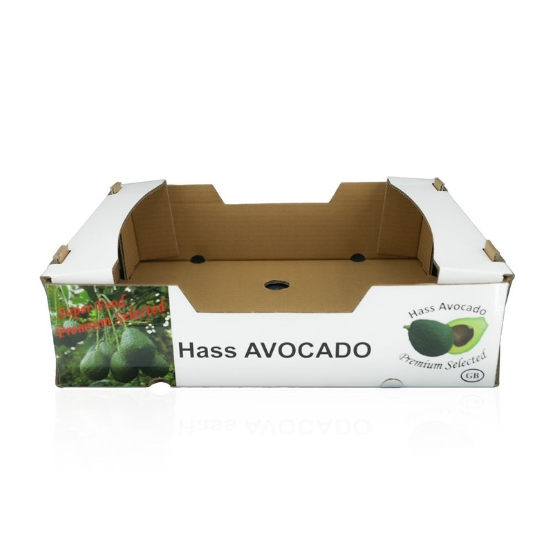 Fruit Packaging Corrugated Shipping Carton Fresh Fruit Box Packaging – Custom Box and Food Box price