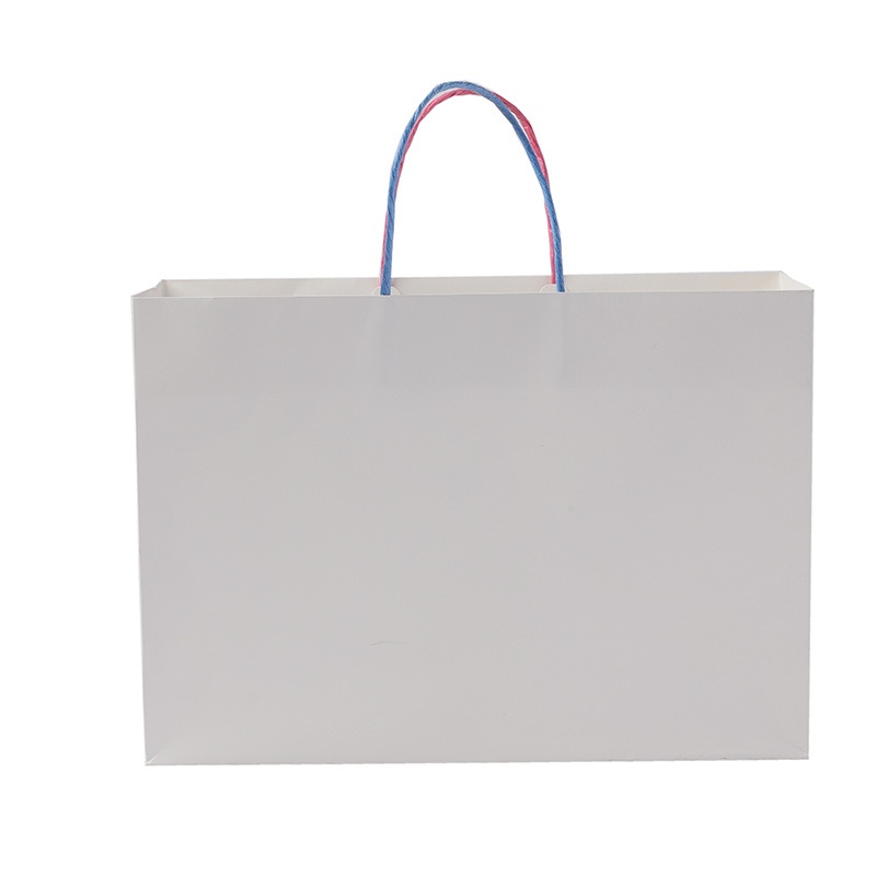 Plain White Durable Cardboard Paper Bag with Colorful String – Paper Bag and Shopping Bag price