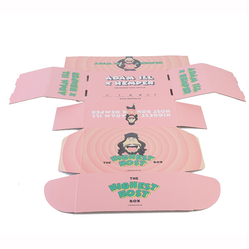 Wholesale High Quality Professional Custom Paper Boxes Paper Postal Box – Custom Box and Food Box price