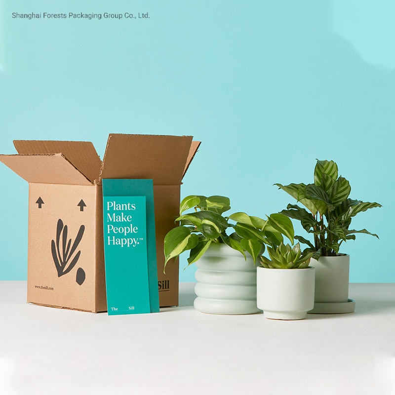 Wholesale Custom Logo Real Artificial Plant Pots Corrugated Paper Box Succulent Plant Pot Shipping Packaging Box Custom Business Shipping Boxes – Plant Packaging Shipping Box and Plant Packaging Mailer Box price