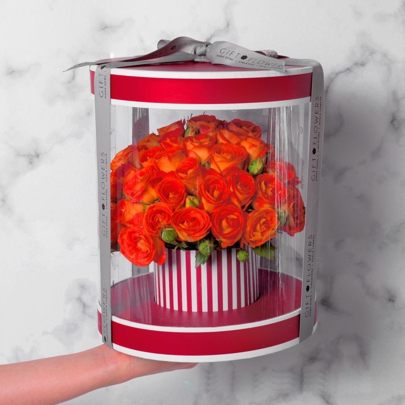 Round PVC Transparent Flower Arrangement Gift Box Korean Hand Bouquet Large See-Through Flower Arrangement Box Flower Packaging – Bag and Gift Box price