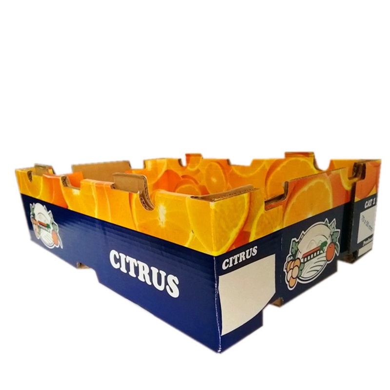Colorful Vegetable Corrugated Carton Box for Fresh Produce Packaging – Citrus Box and Citrus Carton Boxes price