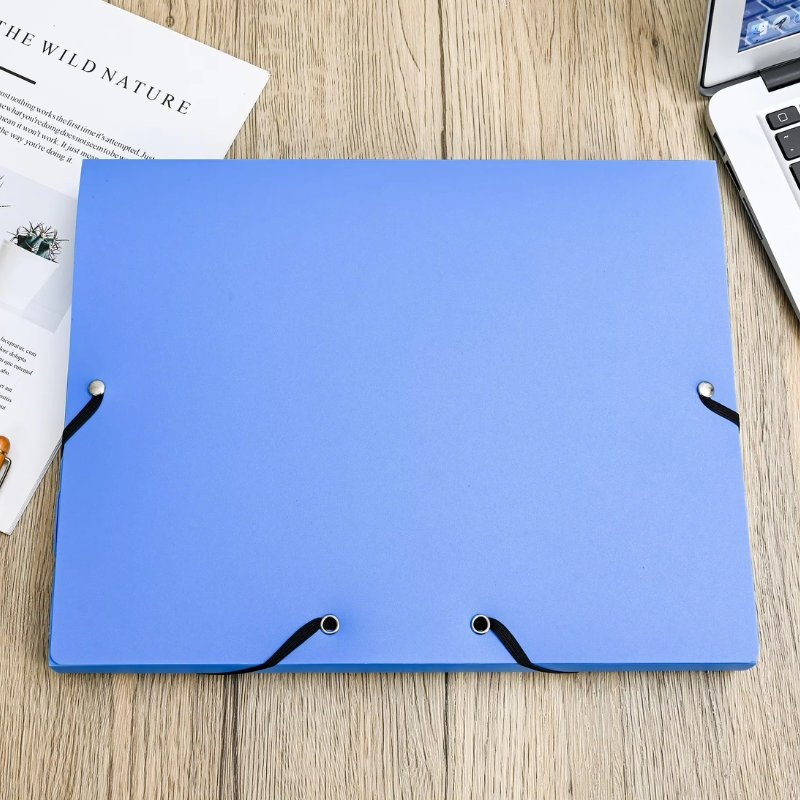 Wholesale High Quality A4 Paper Storage Box Office File Tidy up PP Box – Plastic File Box and Papers Storage price